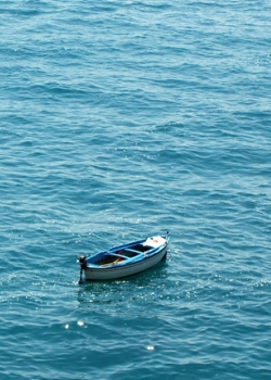 Adrift: The impact of the ECJ’s Safe Harbour ruling