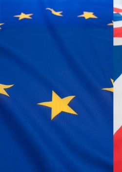 Britain and the EU: a crisis looms file thumbnail